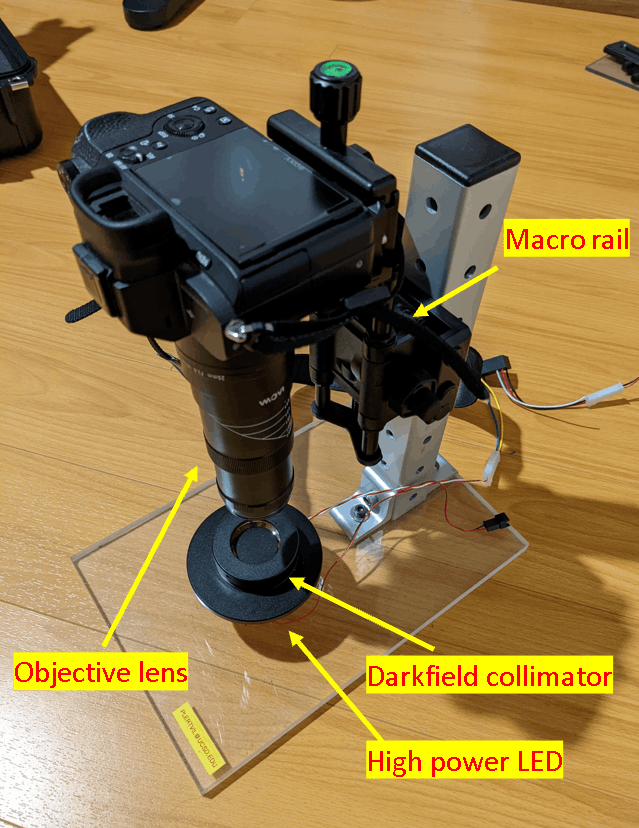 Darkfield backlighting setup with a translation stage