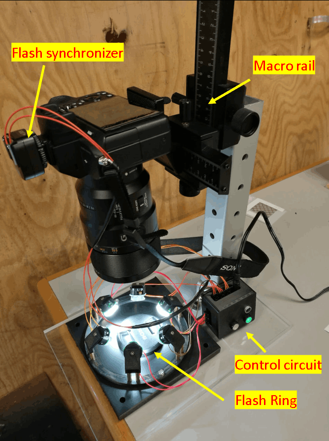 Side-scatter illumination setup for macro subjects